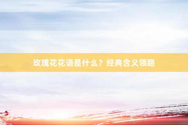 玫瑰花花语是什么？经典含义领路