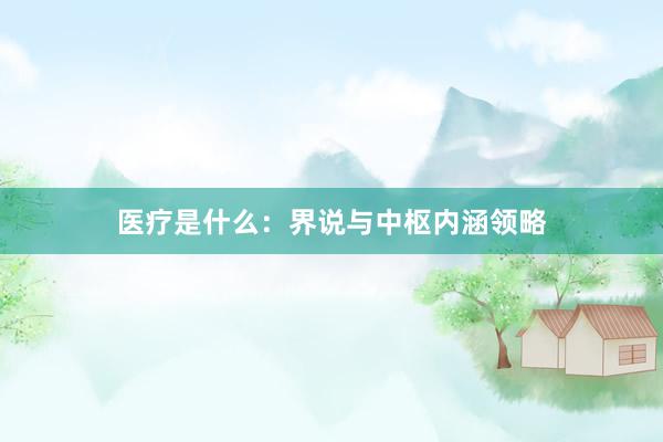医疗是什么：界说与中枢内涵领略