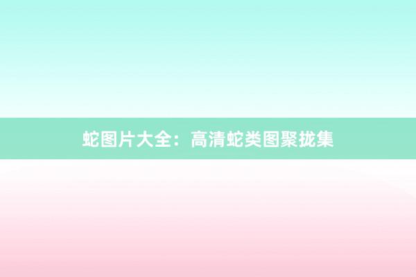 蛇图片大全:高清蛇类图聚拢集